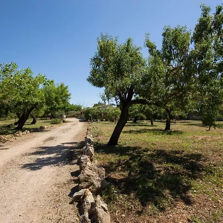 Ca'n Lluis - La Goleta De Mar & Holiday home Pollenca